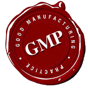 gmp-removebg-preview